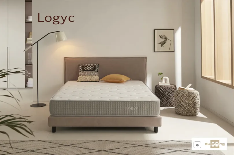 Logyc
